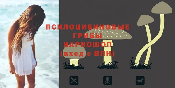 бошки Беломорск
