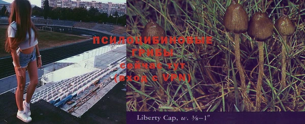 ECSTASY Рославль