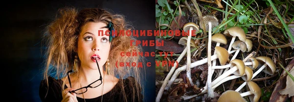 скорость Белокуриха