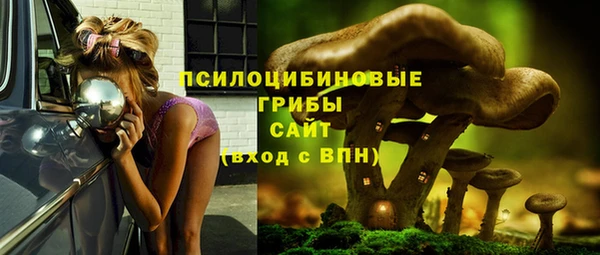скорость Белокуриха